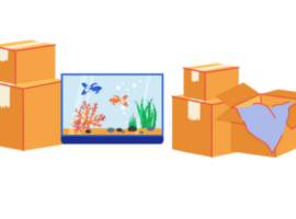 aquarium verhuizen