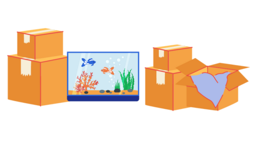 aquarium verhuizen